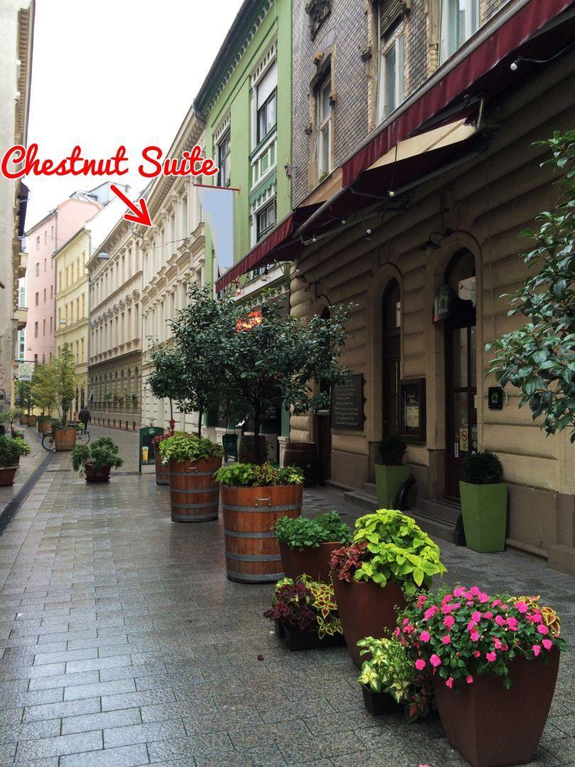 Chestnut & Eliza Suites Будапеща Екстериор снимка